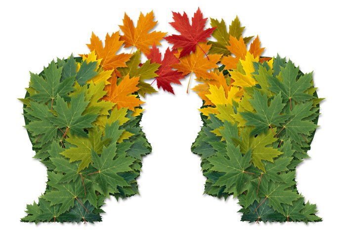 Leaves that make up to heads that are coming together as one