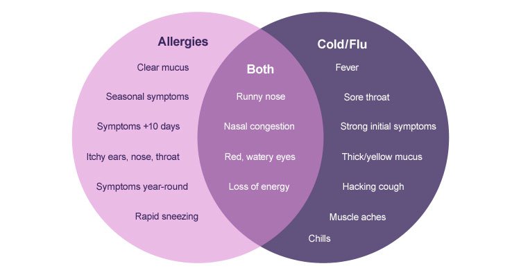 Venn diagram of allergies and cold/flu symptoms