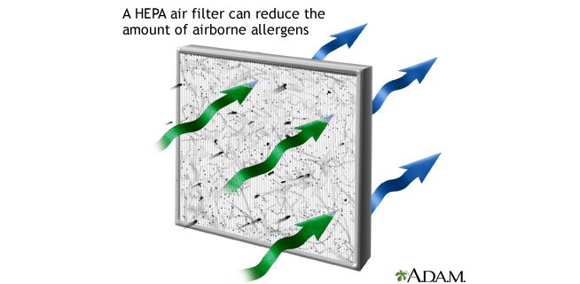 Graphic of an air filter with air flowing through. "A HEPA air filter can reduce the amount of airborne allergens"